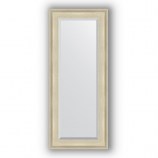 Зеркало в багетной раме (серебро травленое)58х138 см EVOFORM Exclusive BY 1256