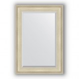 Зеркало в багетной раме (серебро травленое)68х98 см EVOFORM Exclusive BY 1276