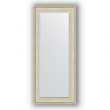 Зеркало в багетной раме (серебро травленое)68х158 см EVOFORM Exclusive BY 1286