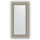 Зеркало в багетной раме (хамелеон)56х116 см EVOFORM Exclusive BY 1245