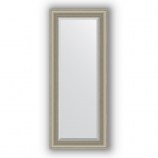 Зеркало в багетной раме (хамелеон)56х136 см EVOFORM Exclusive BY 1255