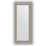 Зеркало в багетной раме (хамелеон)61х146 см EVOFORM Exclusive BY 1265